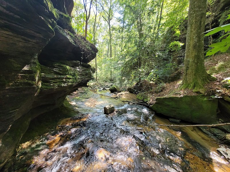 Rocky Ravine Park - Pickleball in Haleyville, Alabama