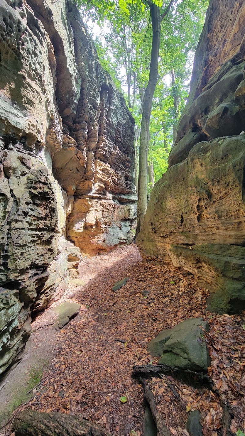 Top O' Ledges Picnic Area