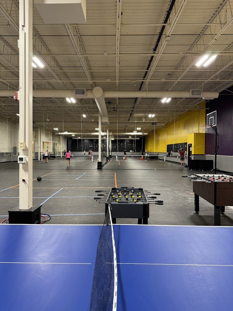 Pickleball Mania
