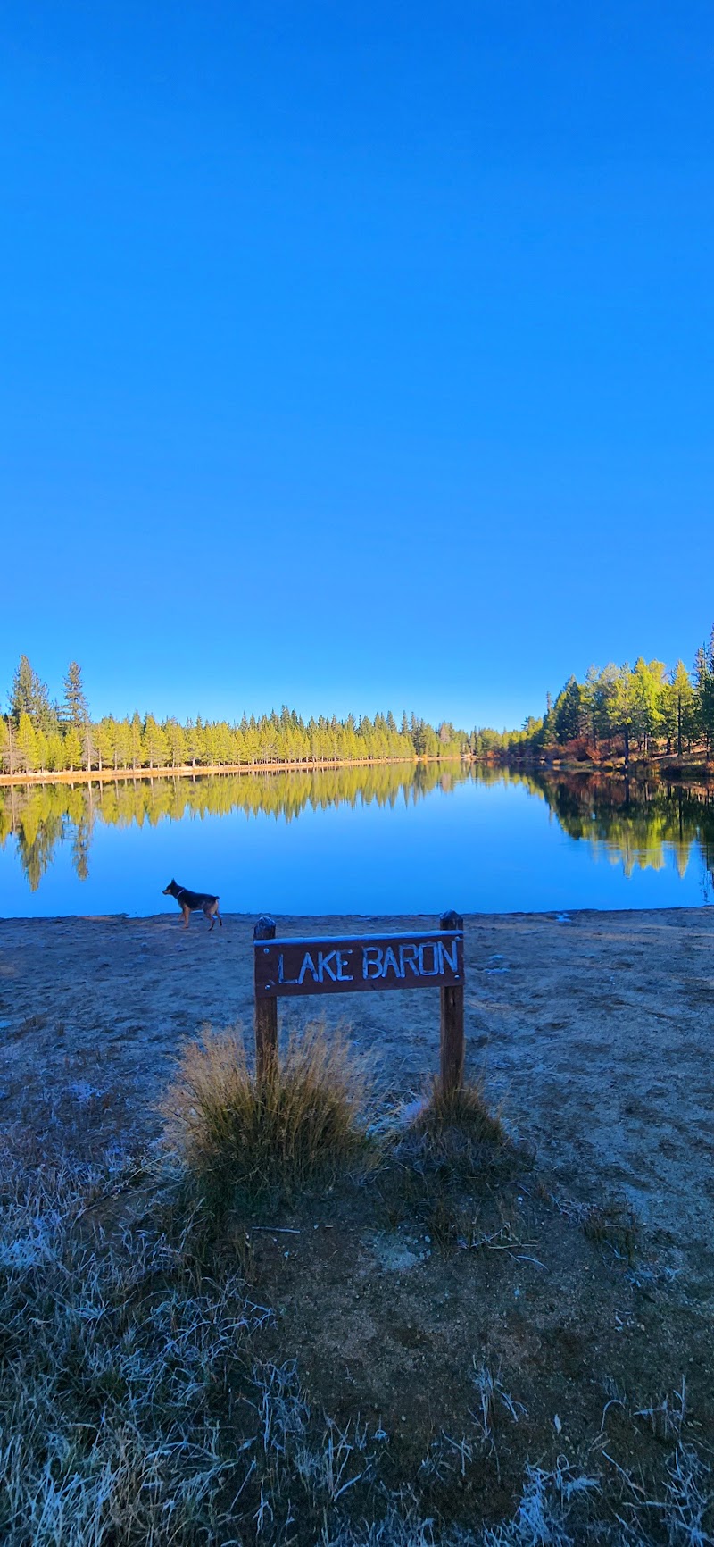 Tahoe Paradise Park Pickleball Courts - Pickleball in Stateline, Nevada