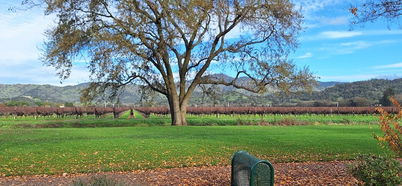 Vineyard Park Yountville