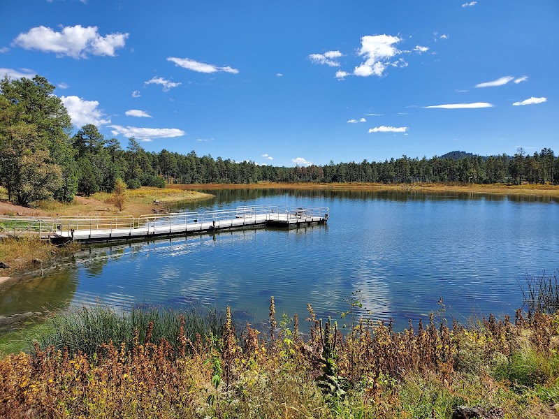 Woodland Lake Park - Pickleball in Blue, Arizona