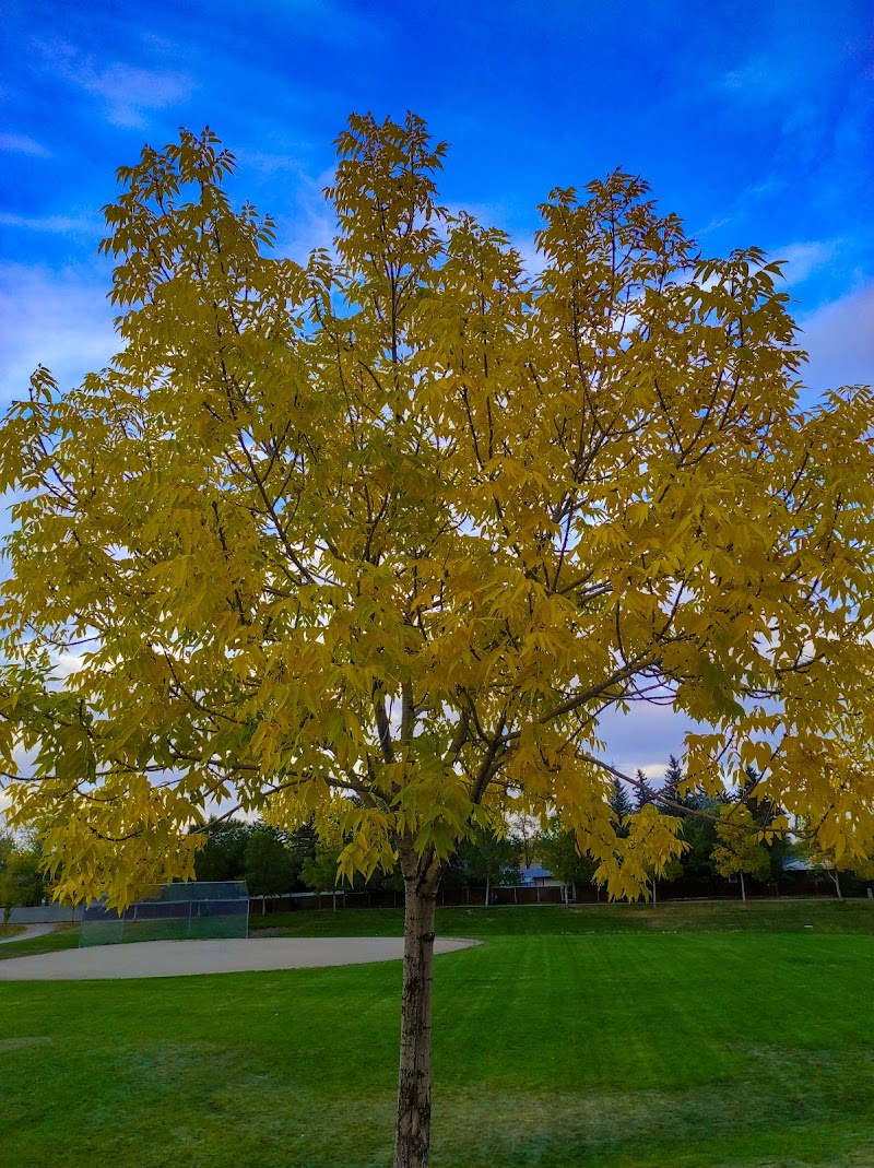 Mahon Park