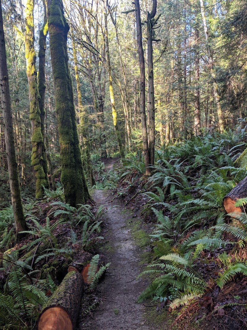 Gibbs Lake County Park