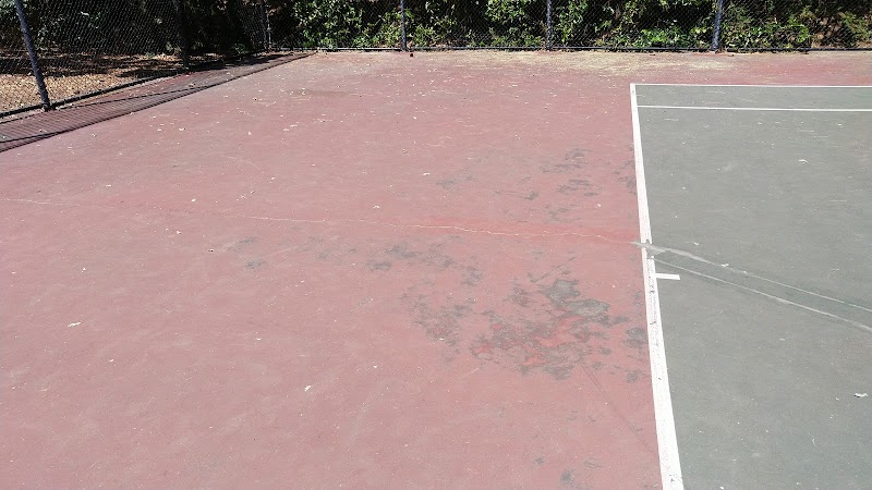 Pine Hollow Tennis & Pickleball Courts