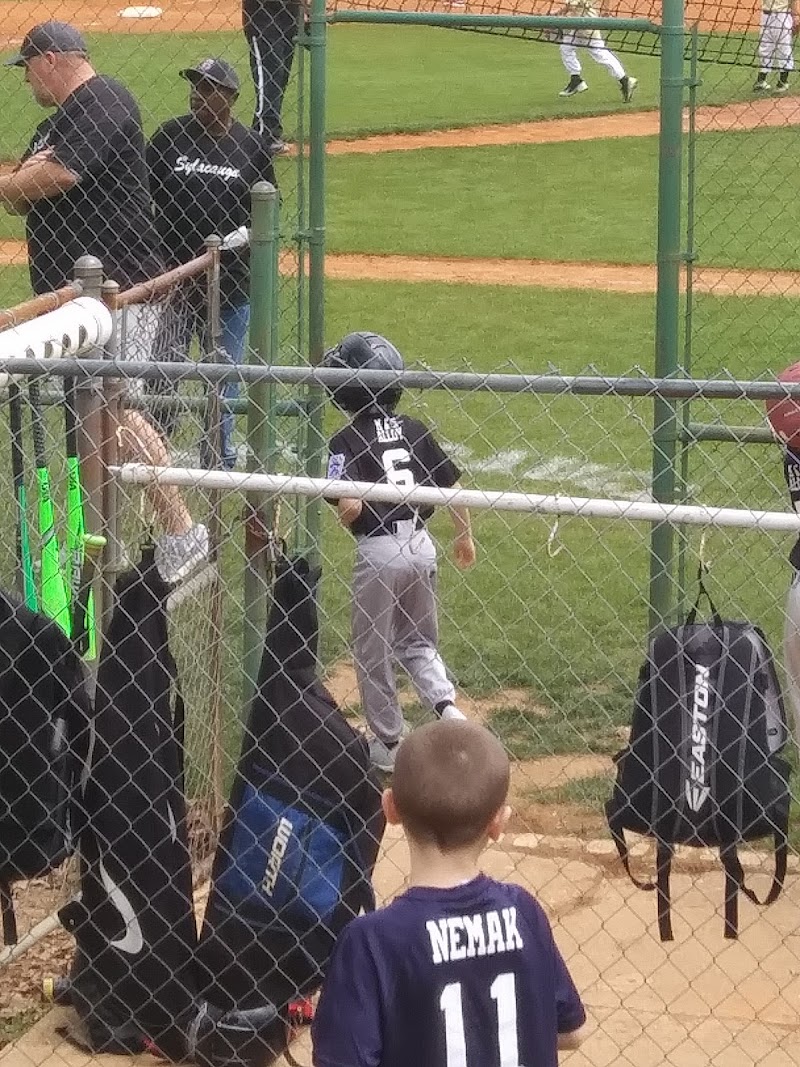 Sylacauga Little League Baseball
