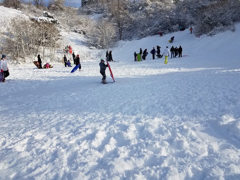 Twin Hollow Park (Cheese Park)