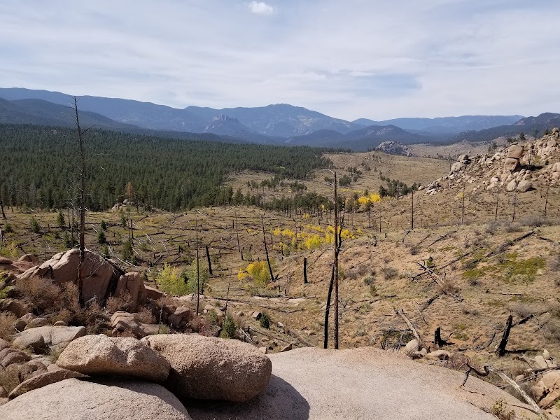 Buffalo Creek Recreation Area - Pickleball in Buffalo Creek, Colorado
