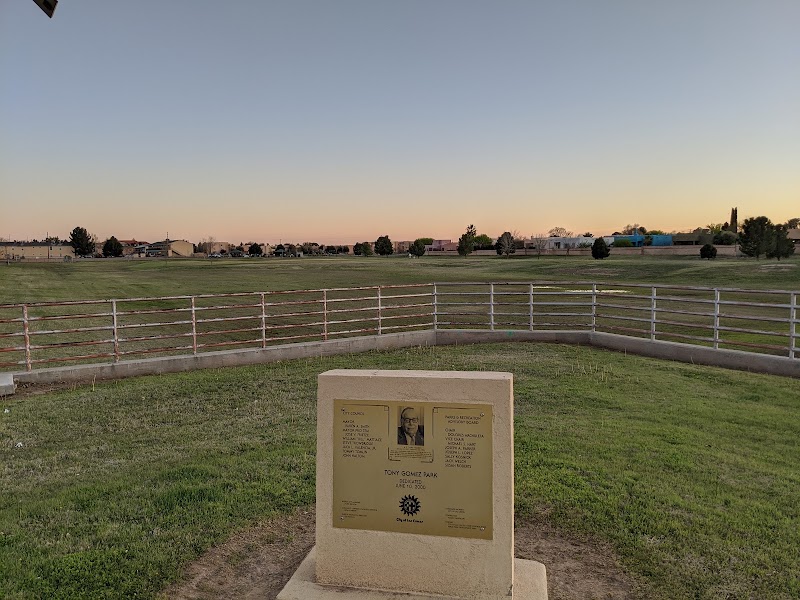 Gomez Park and Garden, Rugby Field