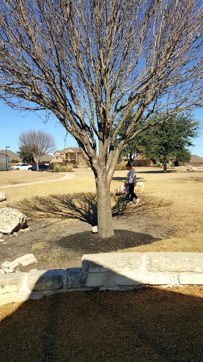Rinderknecht Park | Avalon - Pickleball in Pflugerville, Texas