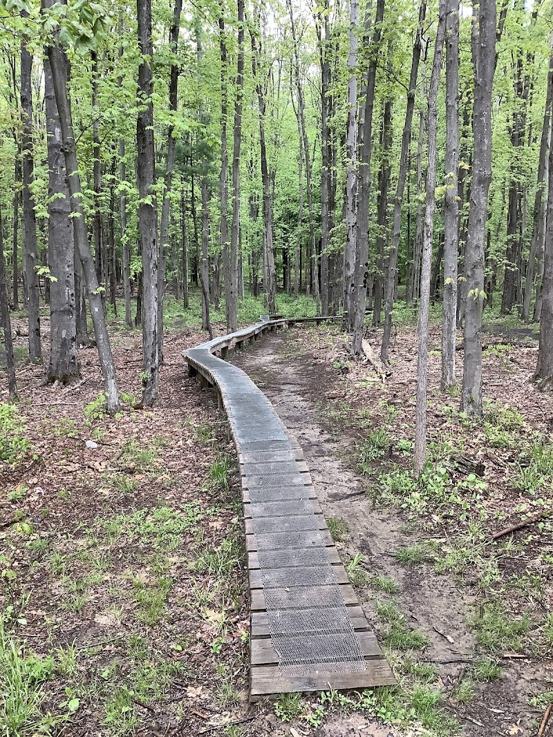 Lippman Park