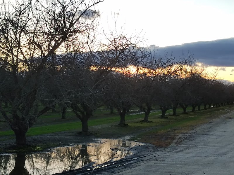 Shadowood Park