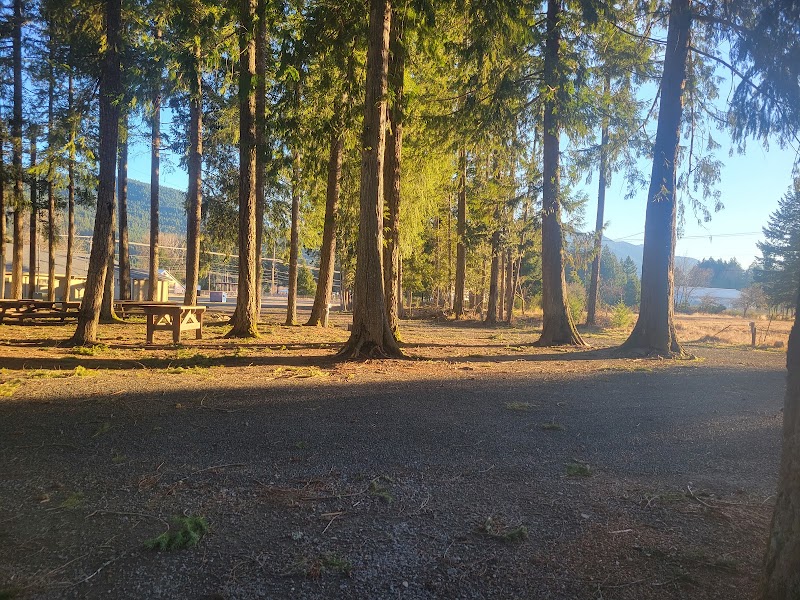 Packwood Community Park - Pickleball in Packwood, Washington
