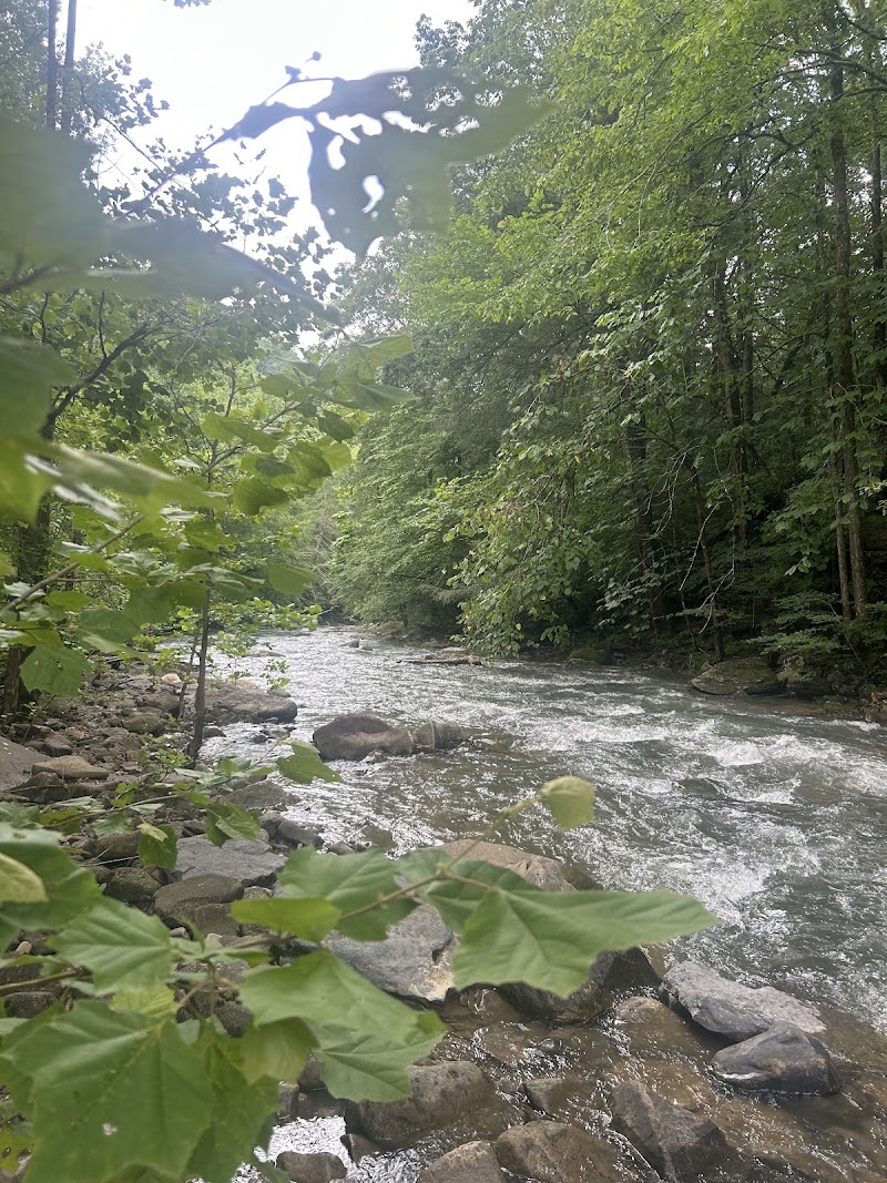 Coalmont OHV Park