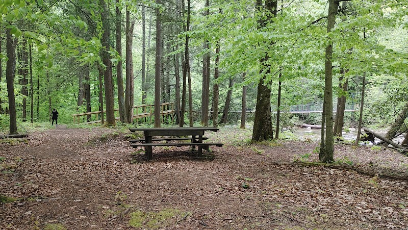 Sycamore Park - Pickleball in Webster Springs, West Virginia