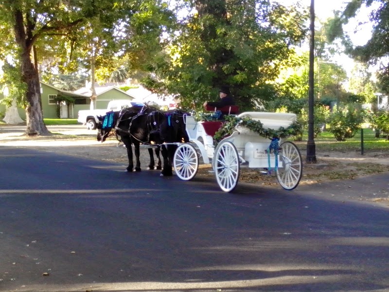 Bloss Park